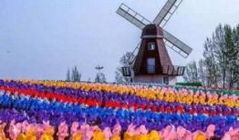 桃花三味在线观看风车,一场穿越时空的浪漫邂逅