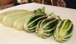 网红吃瓜免费入口,带你畅游娱乐圈幕后风云